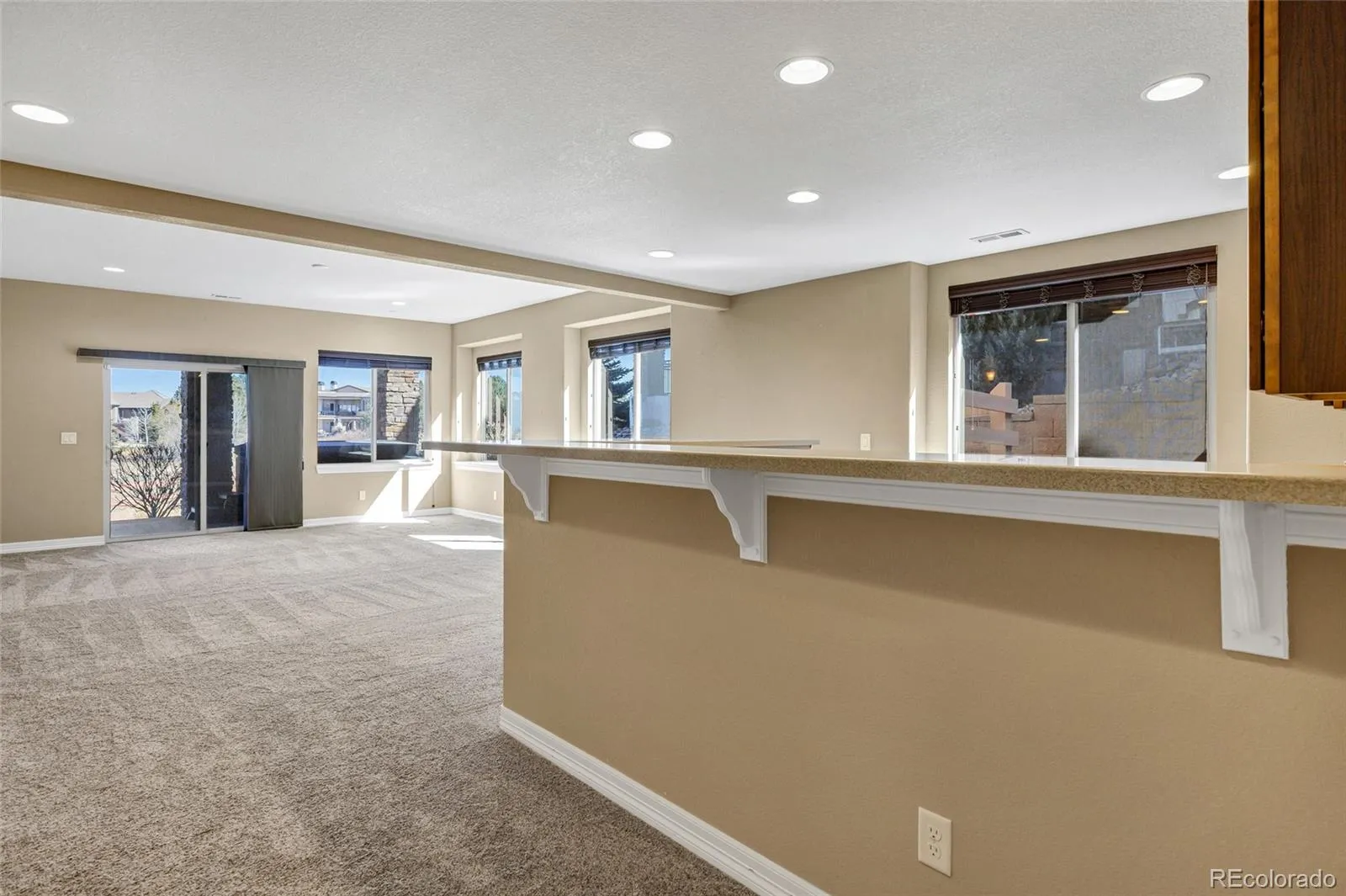 5220 Rialto Drive Parker CO 80134 MLS #REC7051547 04012026150634 1600 29