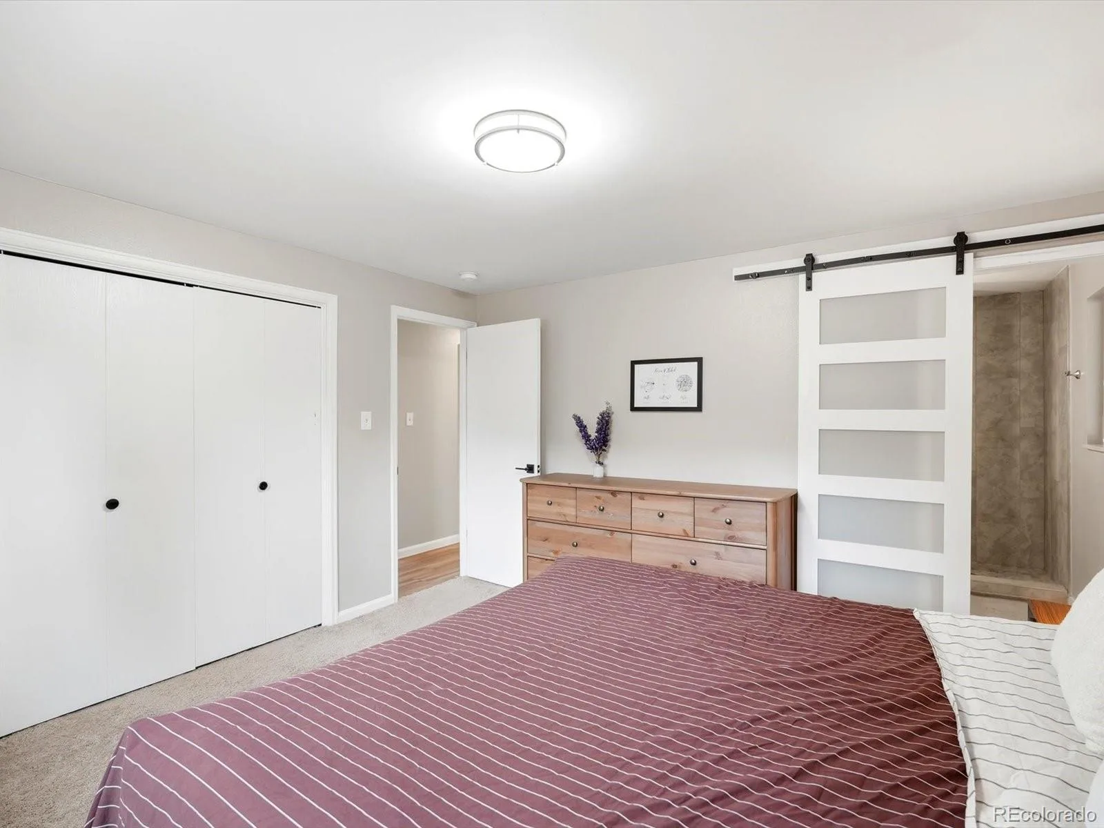13782 Omega Circle Lone Tree CO 80124 | MLS #REC7055501 08132026204103 1600 18
