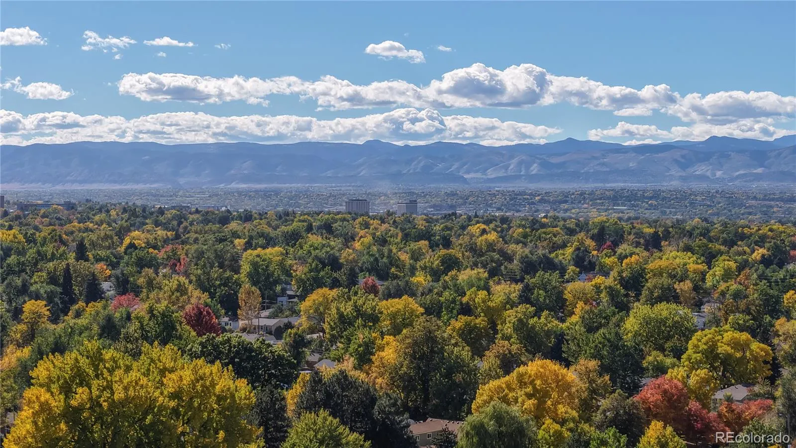 2374 S University Boulevard #307 Denver CO 80210 MLS #REC7062341 05102026033653 1600 45