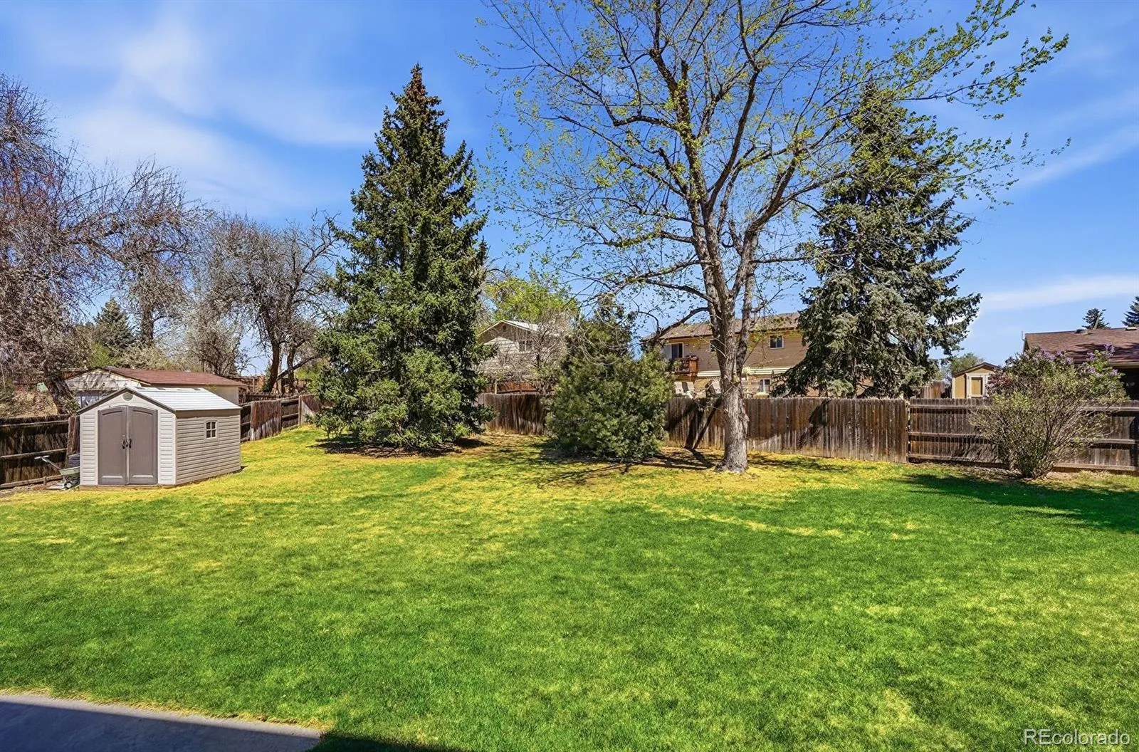 7144 Beech Court Arvada CO 80004 MLS #REC7068048 04232026235032 1600 36