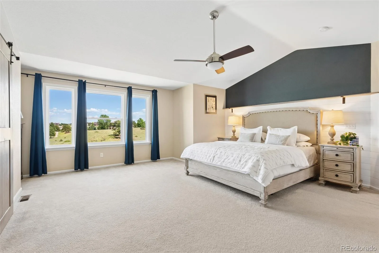 11774 Pine Hill Street Parker CO 80138 | MLS #REC7082827 07302026221540 1600 14