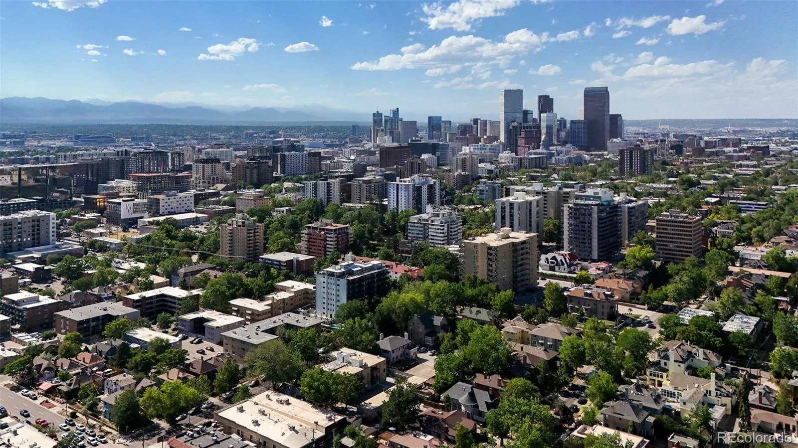 700 N Washington Street #205 Denver CO 80203 MLS #REC7084003 06192026040656 1600 25