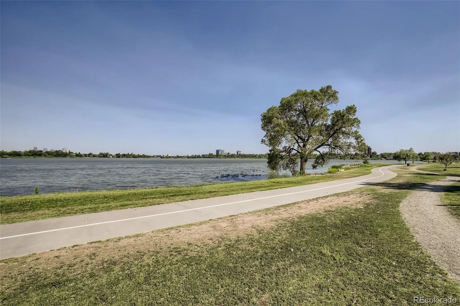 6127 W 28th Court Edgewater CO 80214 MLS #REC7096443 05222026000214 1600 34