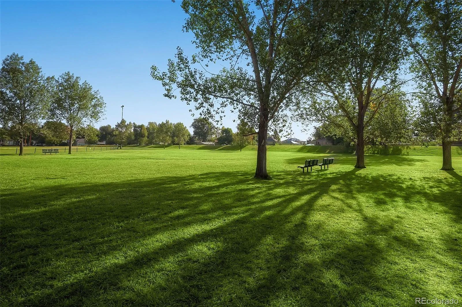 6127 W 28th Court Edgewater CO 80214 MLS #REC7096443 05222026000214 1600 36