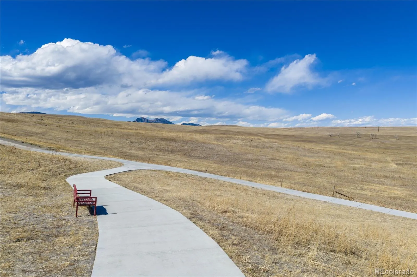 9519 Nile Way Arvada CO 80007 MLS #REC7097134 04242026023524 1600 41