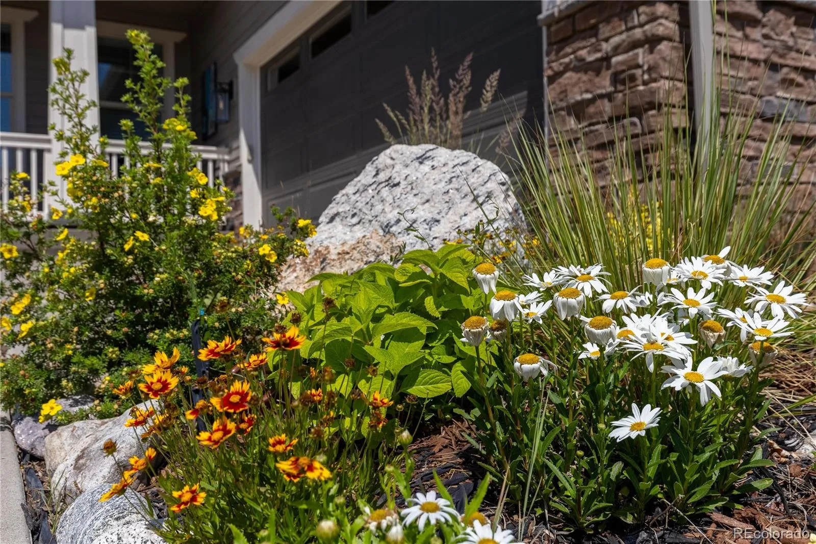 9519 Nile Way Arvada CO 80007 MLS #REC7097134 07012026203027 1600 1