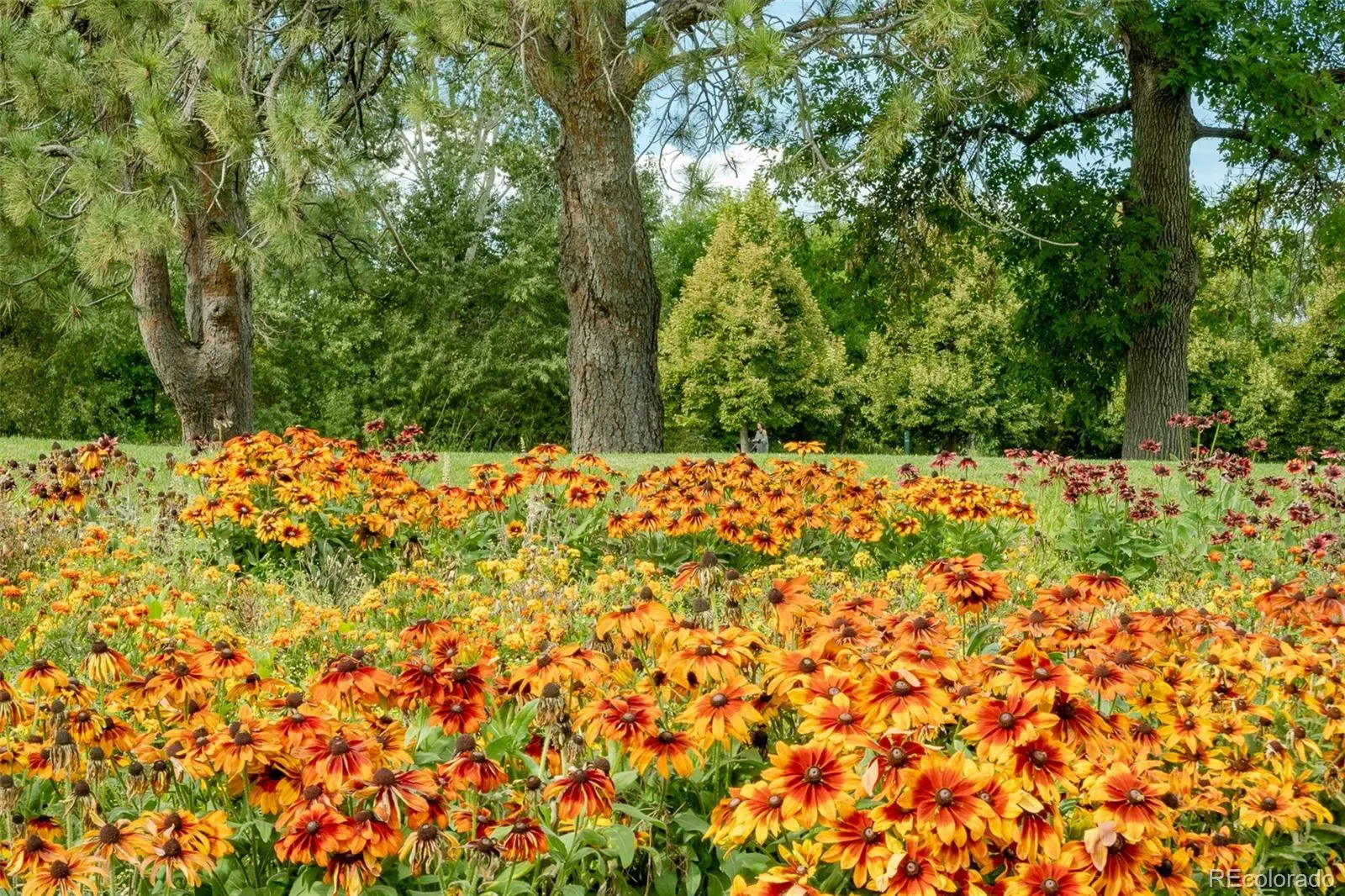 03132026210351 1600 35