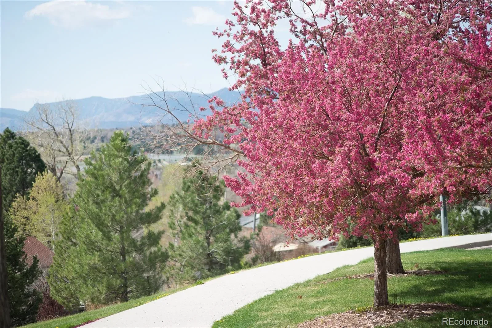 03132026210351 1600 36