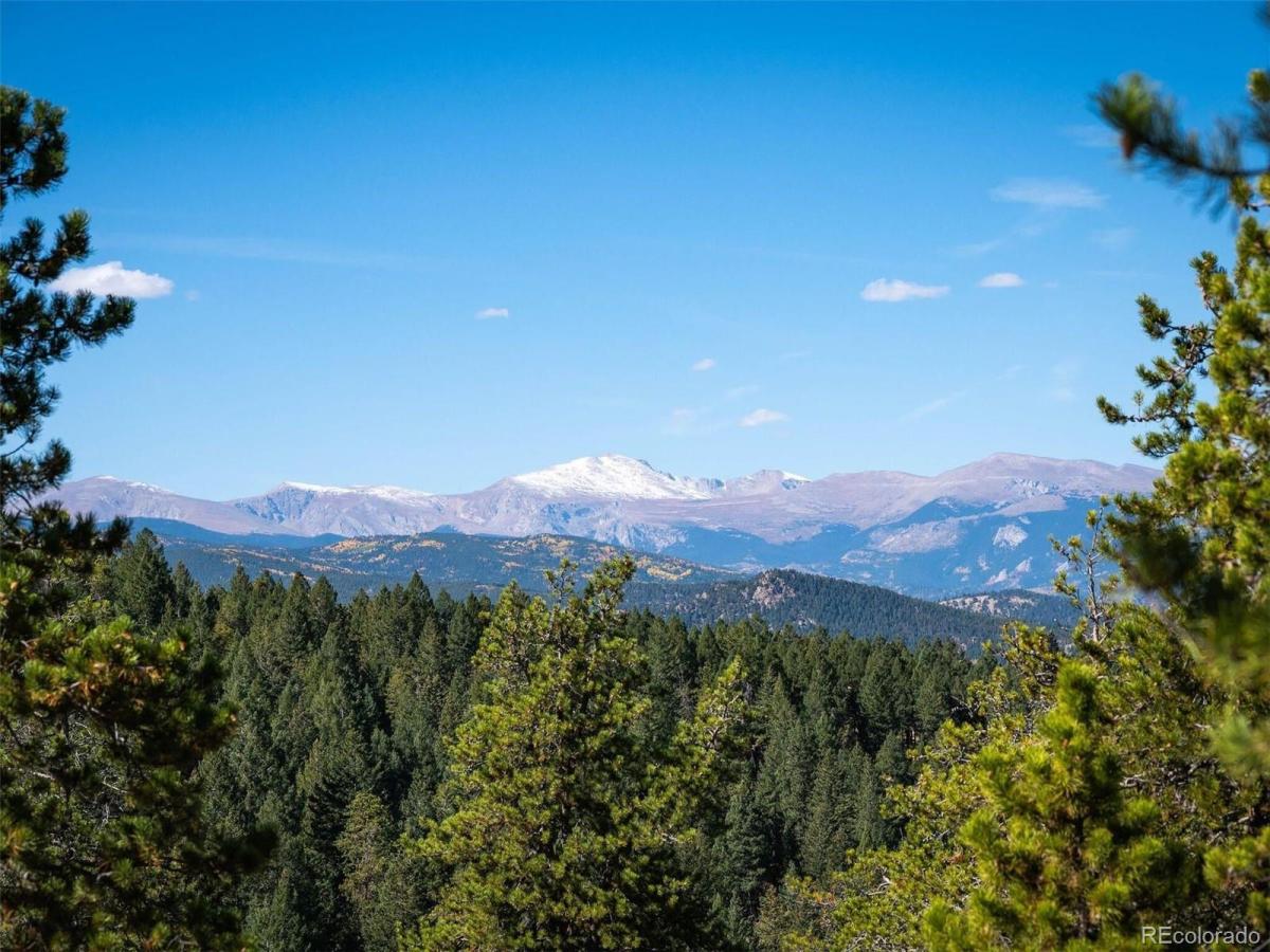 6371 Canyon Creek Road Evergreen CO 80439 | MLS #REC7110428 MLS #REC7110428 image #0