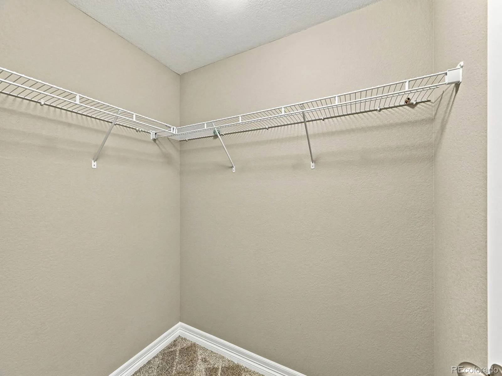 6500 Agave Avenue Castle Rock CO 80108 | MLS #REC7114304 08122026140130 1600 34