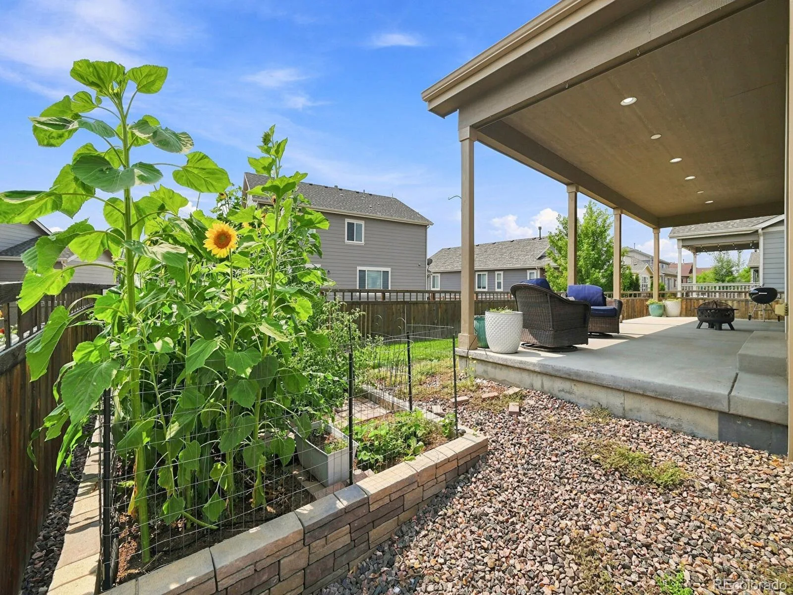 6500 Agave Avenue Castle Rock CO 80108 | MLS #REC7114304 08122026140130 1600 43