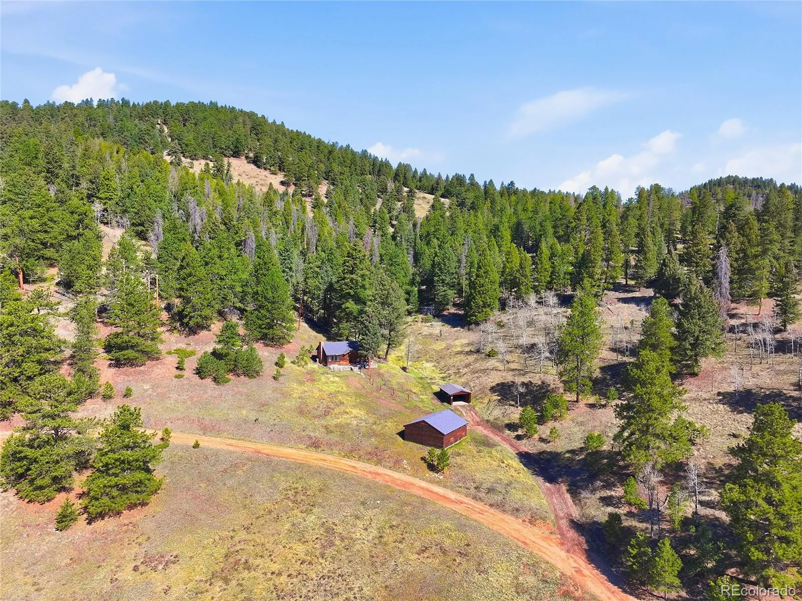 33601 Stransky Road Evergreen CO 80439 | MLS #REC7115567 04172026004053 1600 31