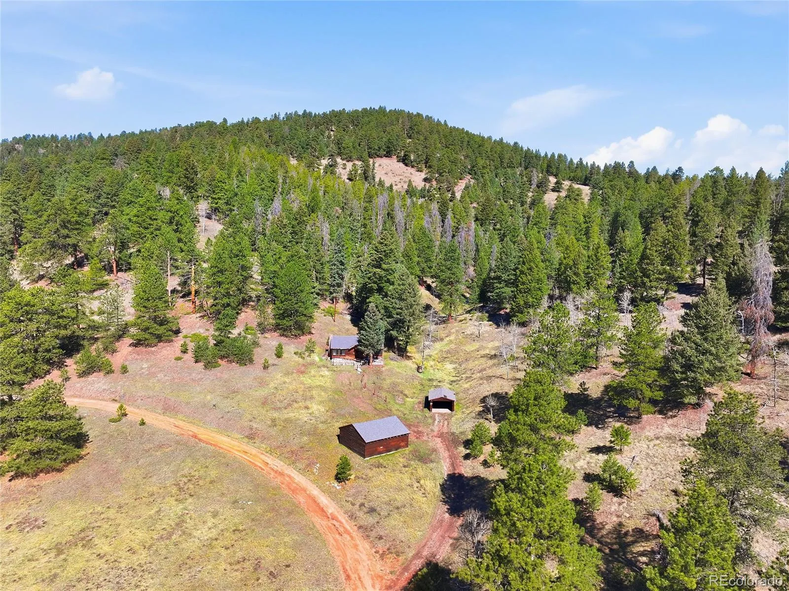 33601 Stransky Road Evergreen CO 80439 | MLS #REC7115567 04172026004053 1600 32