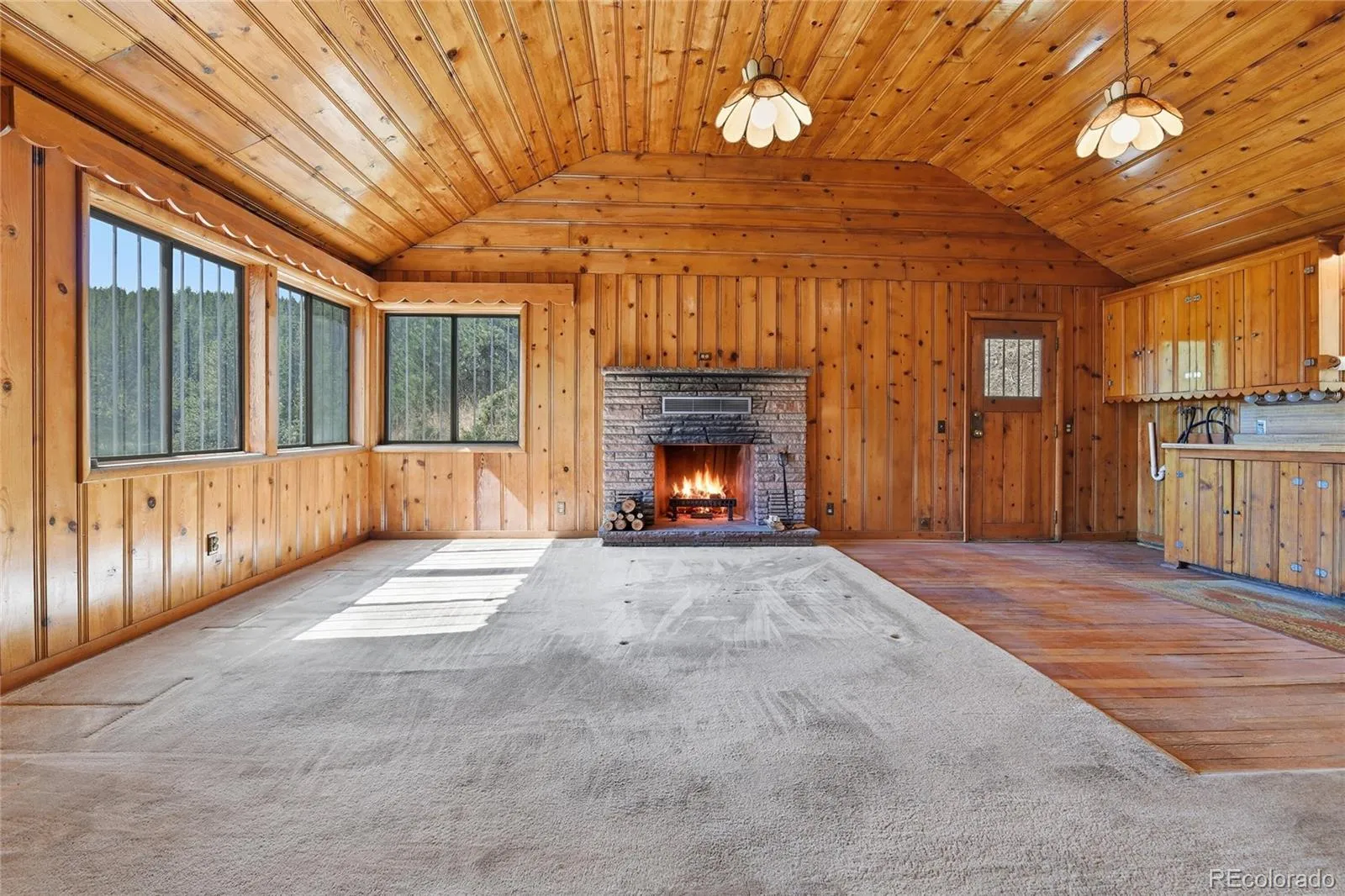 33601 Stransky Road Evergreen CO 80439 | MLS #REC7115567 04172026004053 1600 6