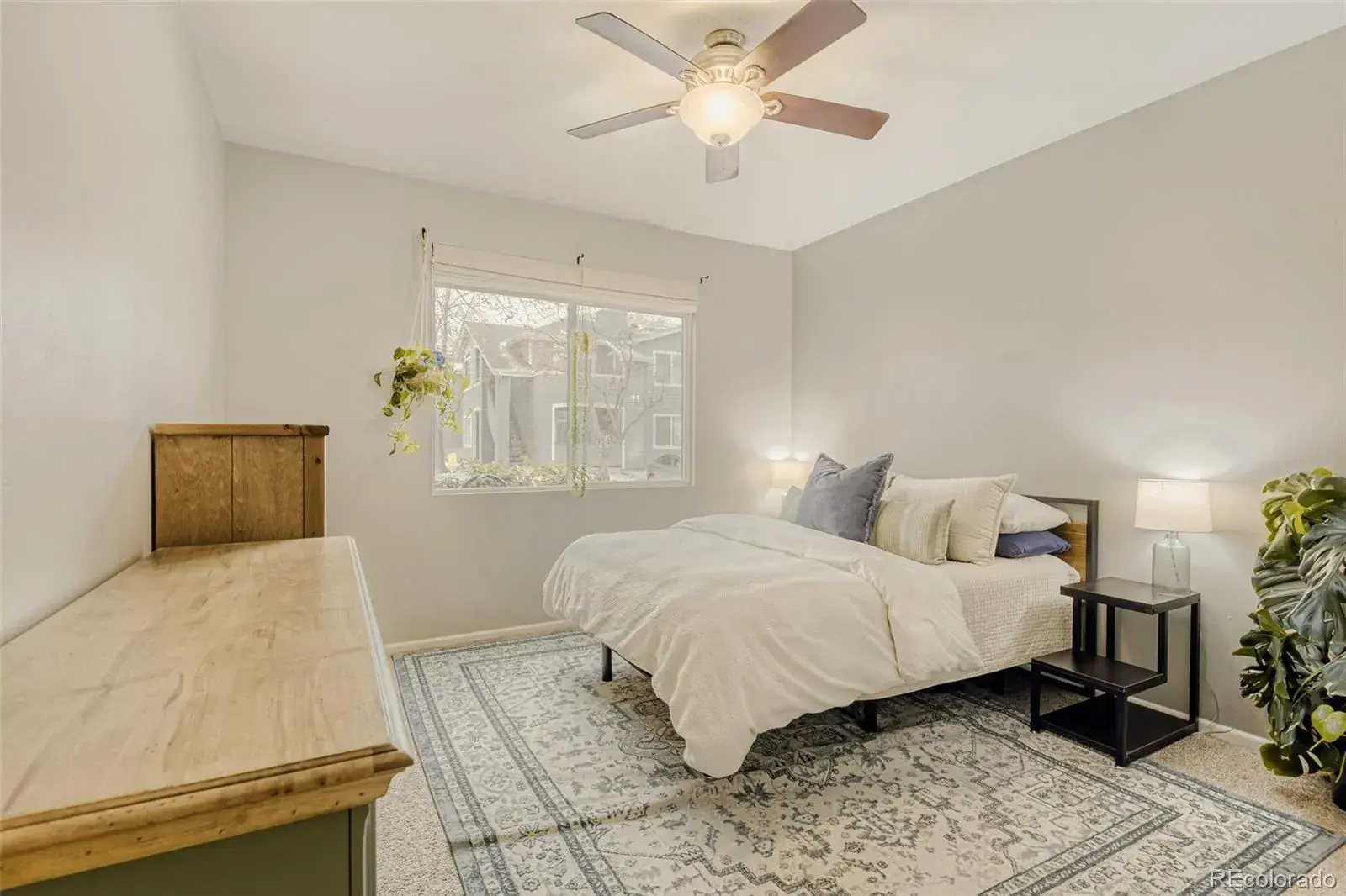 01292026164332 1600 17