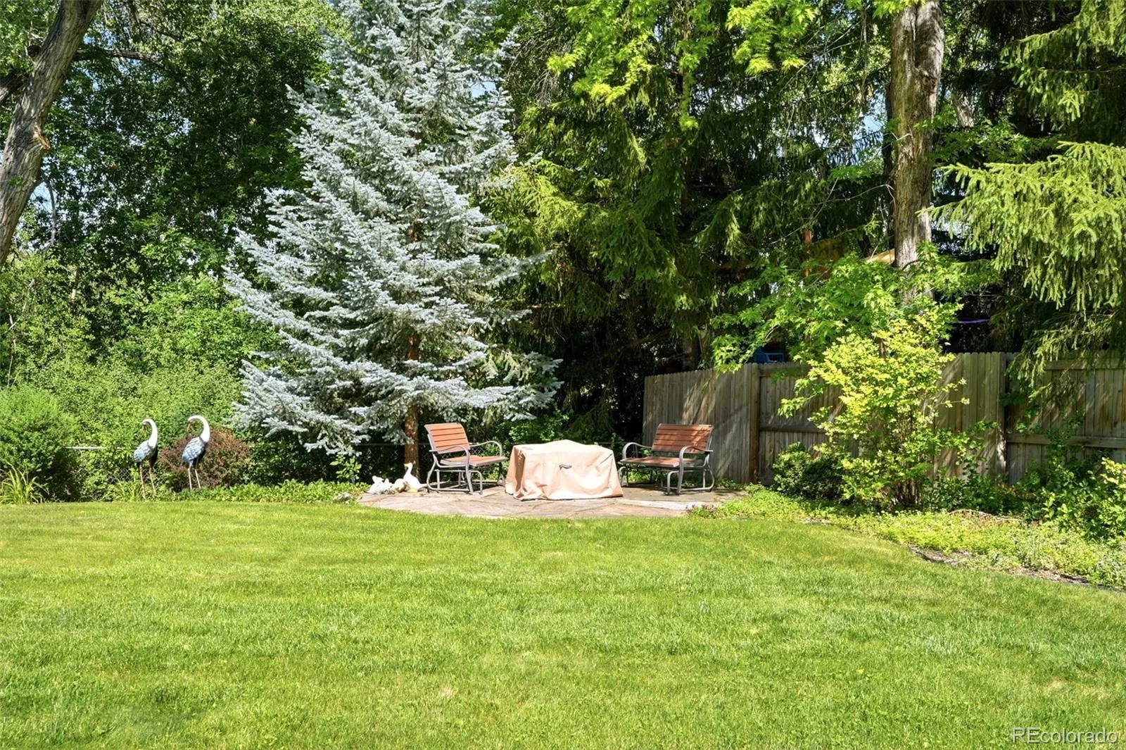 2954 S Pontiac Street Denver CO 80224 MLS #REC7119862 06222026190418 1600 41