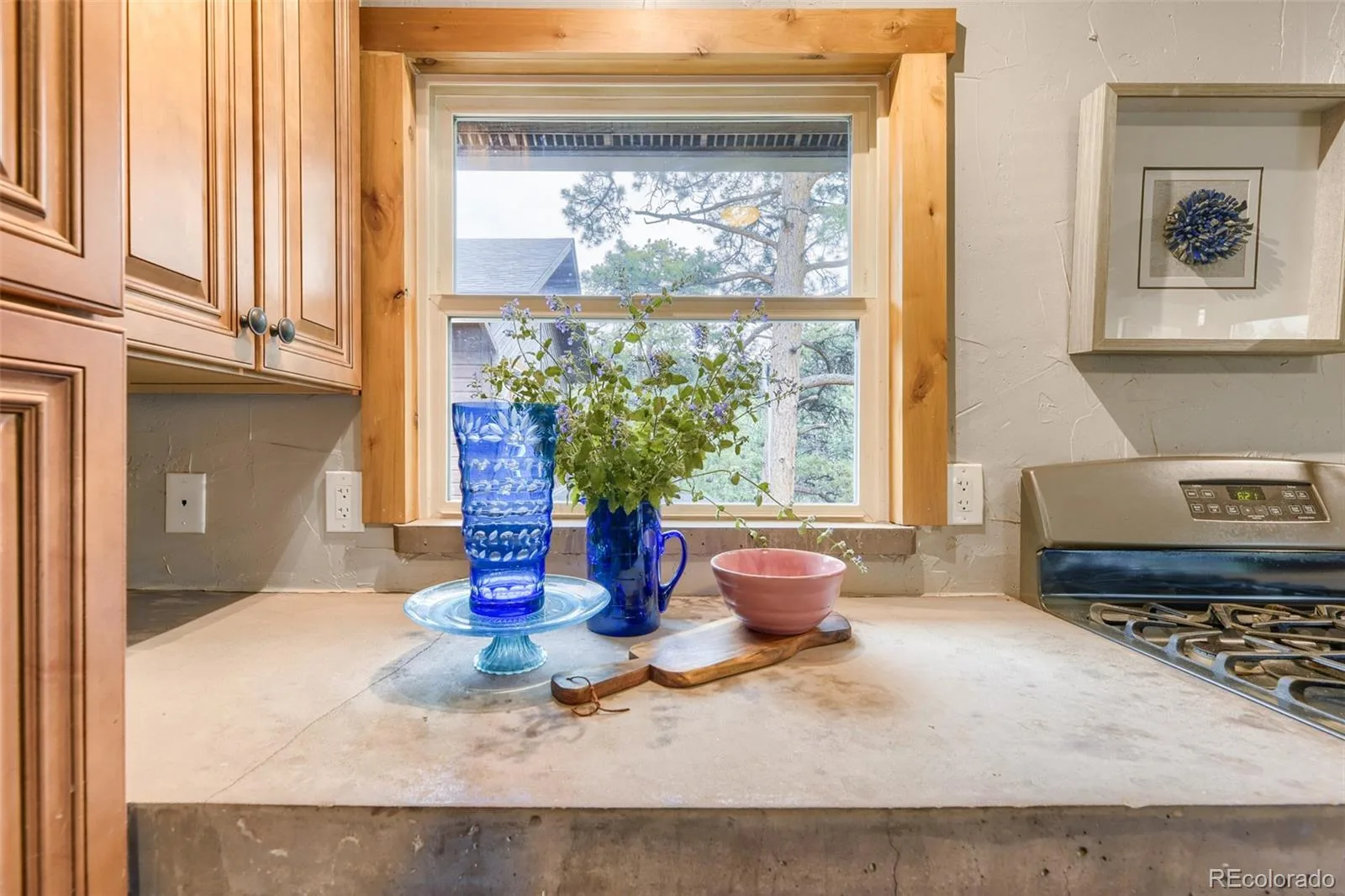 54 Zaza Lane Evergreen CO 80439 | MLS #REC7121879 07172026205352 1600 2