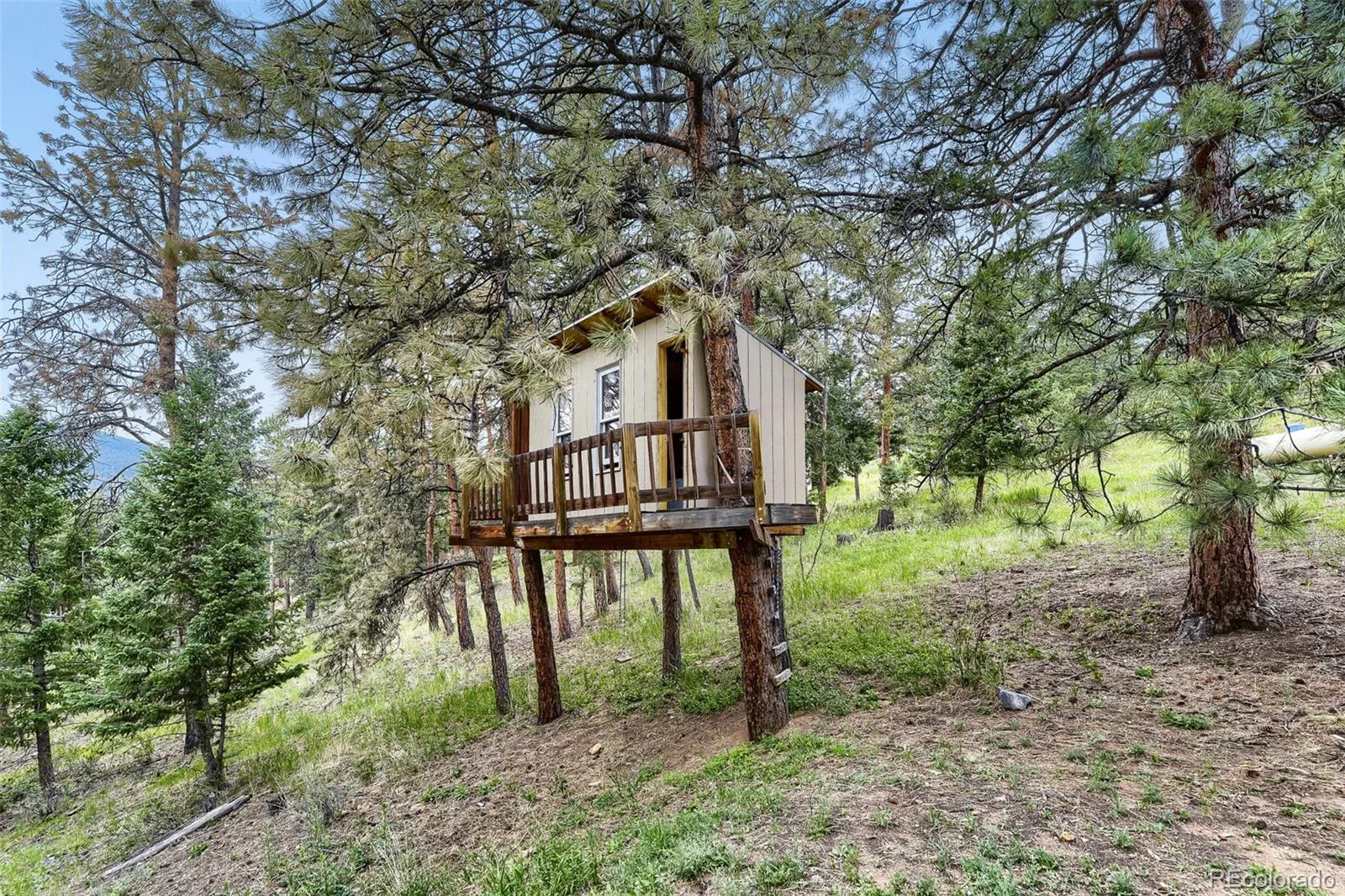 54 Zaza Lane Evergreen CO 80439 | MLS #REC7121879 07172026205352 1600 22