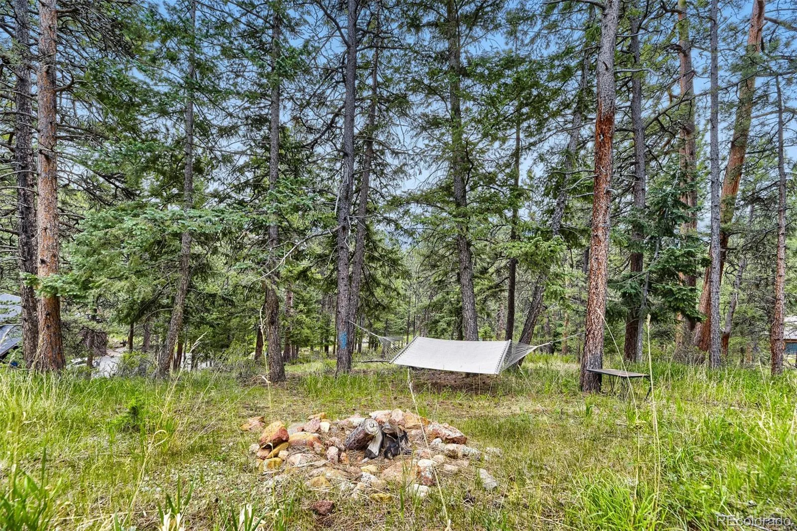 54 Zaza Lane Evergreen CO 80439 | MLS #REC7121879 07172026205352 1600 23