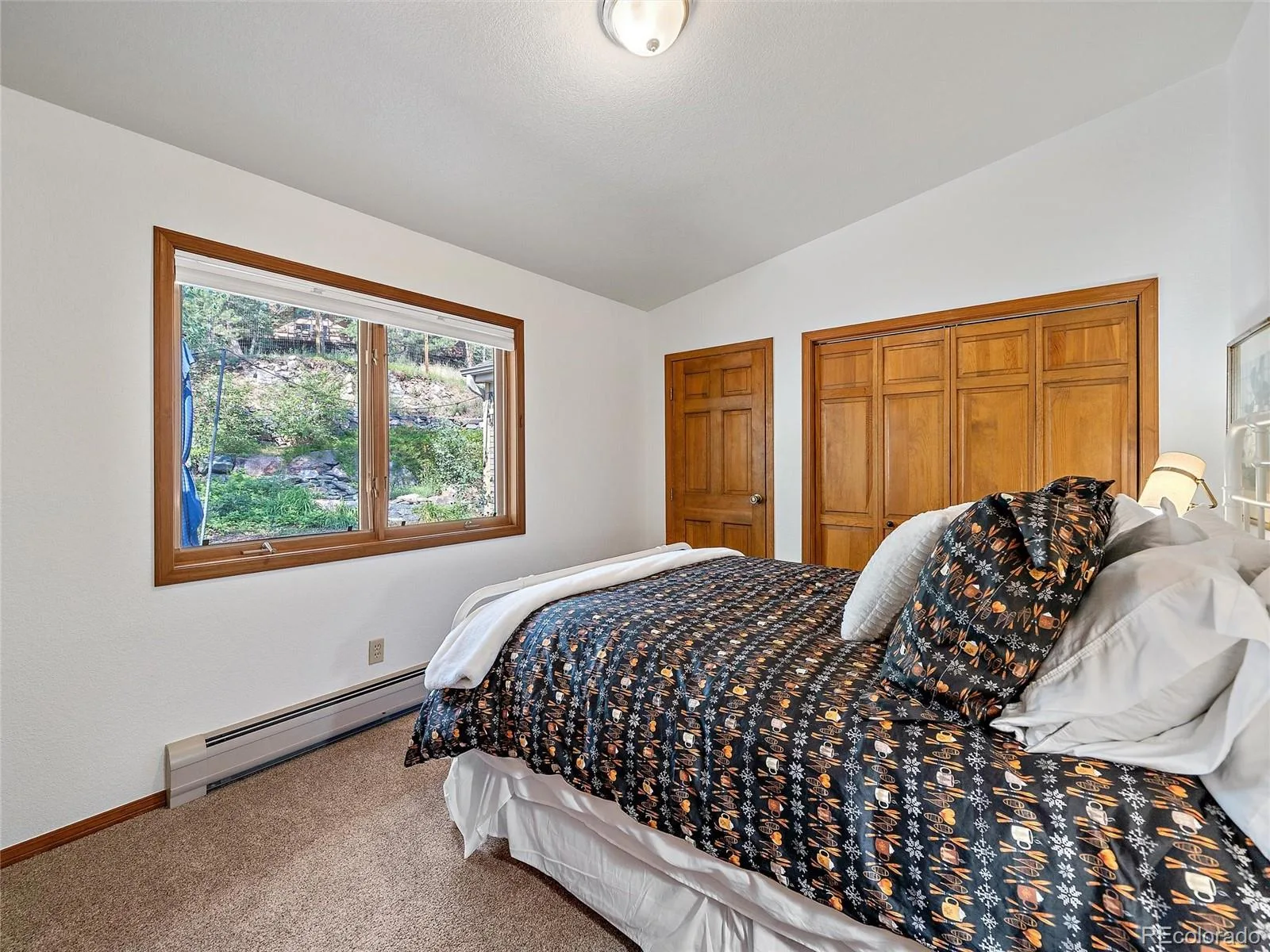 675 Witter Gulch Road Evergreen CO 80439 | MLS #REC7129928 07062026183737 1600 27