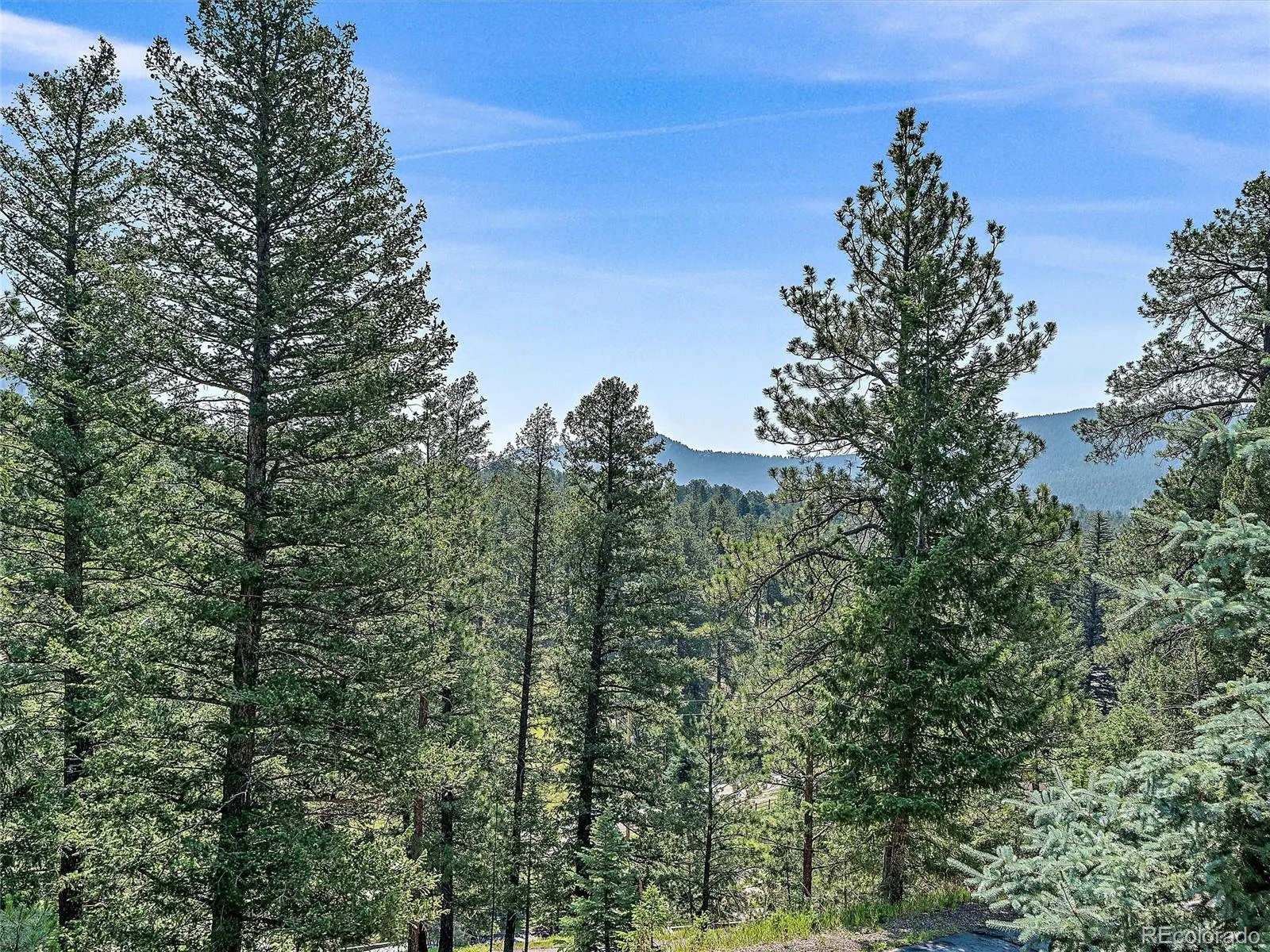 675 Witter Gulch Road Evergreen CO 80439 | MLS #REC7129928 07062026183737 1600 9