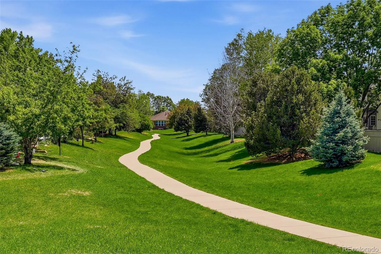 1004 Boxelder Circle Longmont CO 80503 MLS #REC7132798 05202026001208 1600 43