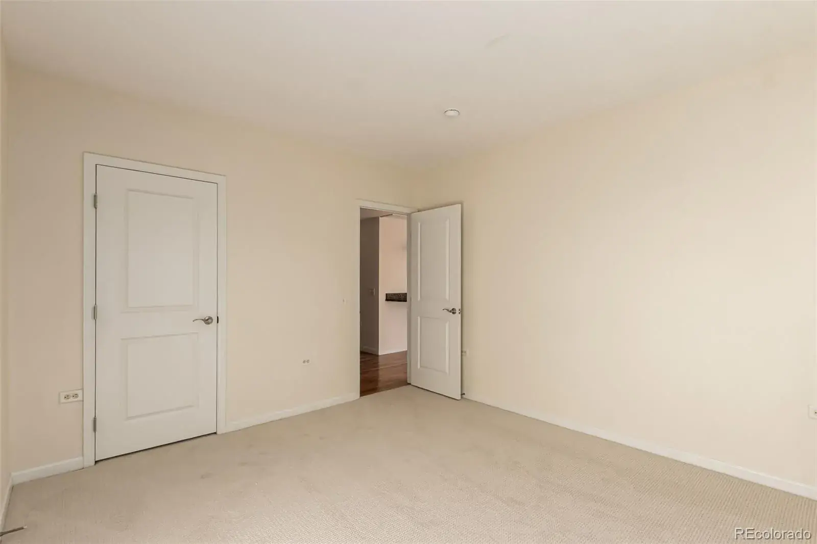 1150 Vine Street #1003 Denver CO 80206 MLS #REC7132969 02072026014042 1600 15
