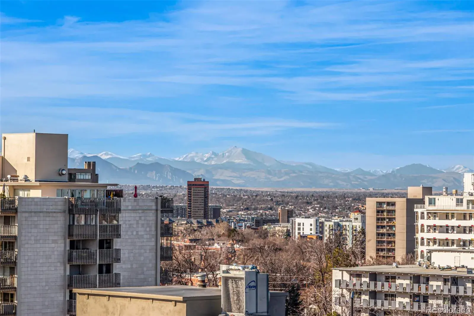 1150 Vine Street #1003 Denver CO 80206 MLS #REC7132969 02072026014042 1600 25