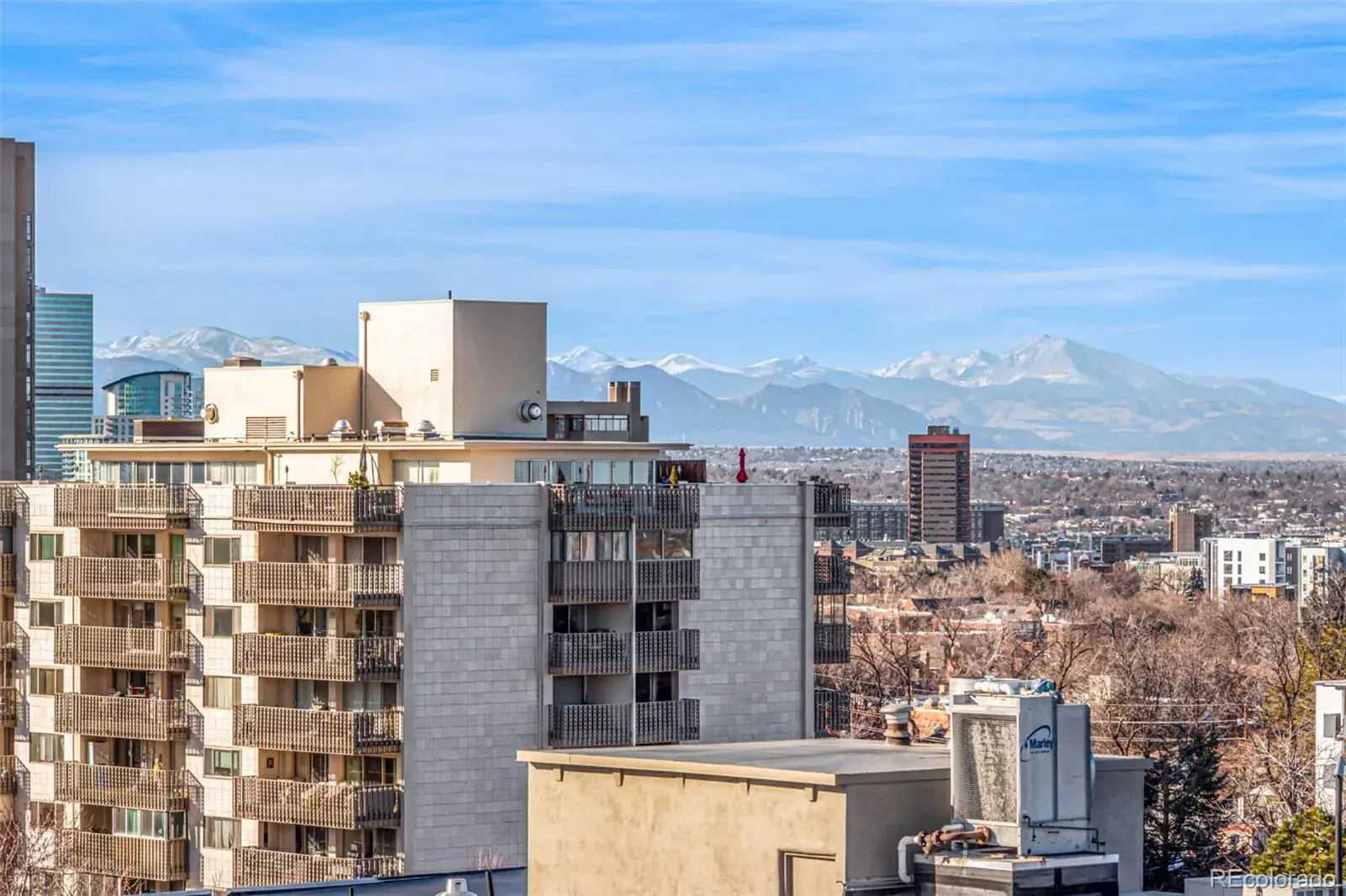 1150 Vine Street #1003 Denver CO 80206 MLS #REC7132969 02072026014042 1600 26