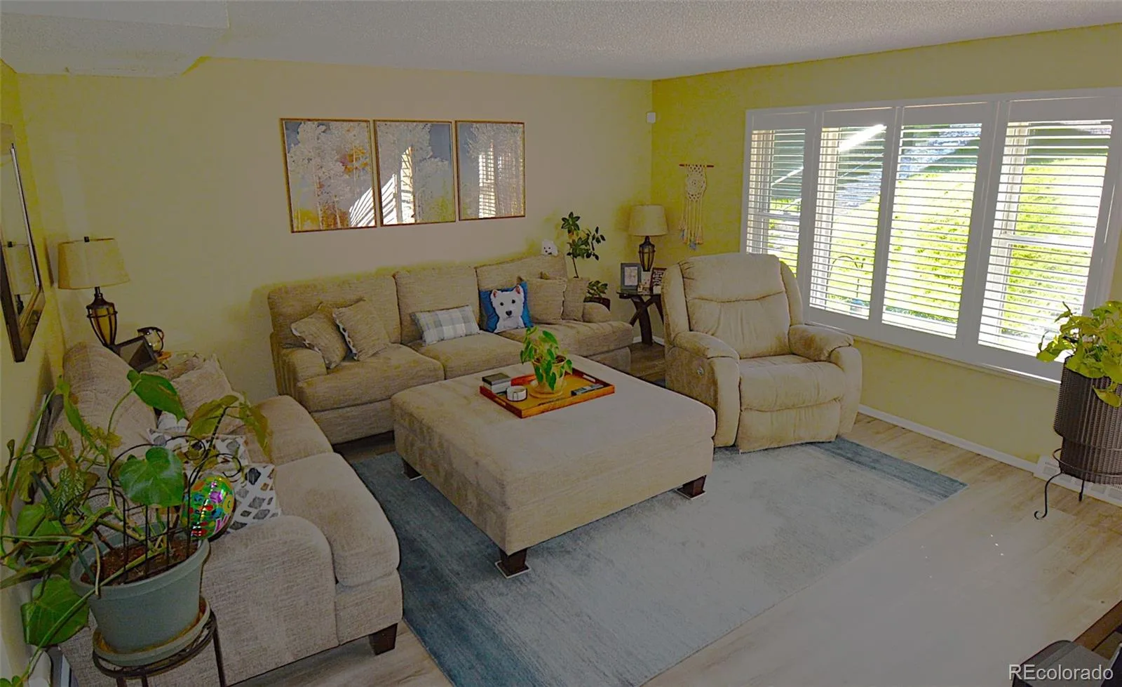 9049 E Nassau Avenue Denver CO 80237 MLS #REC7134859 06212026034725 1600 1