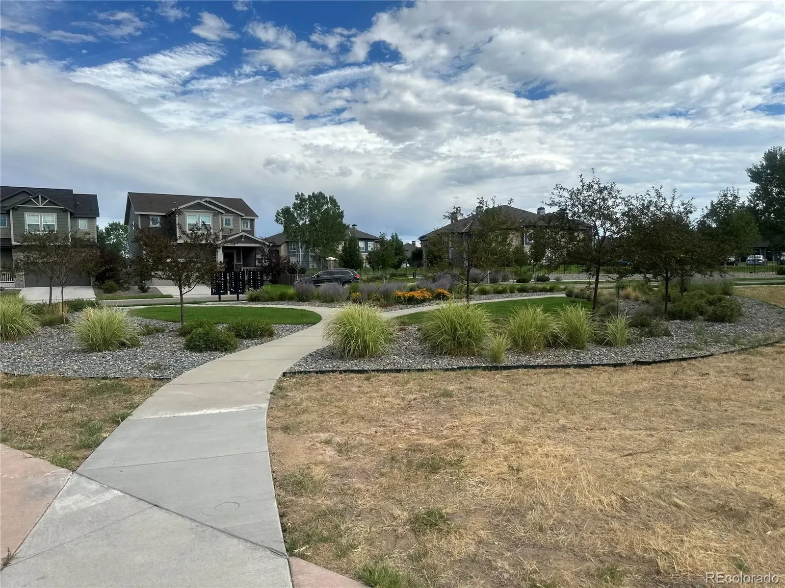 03092026054850 1600 8