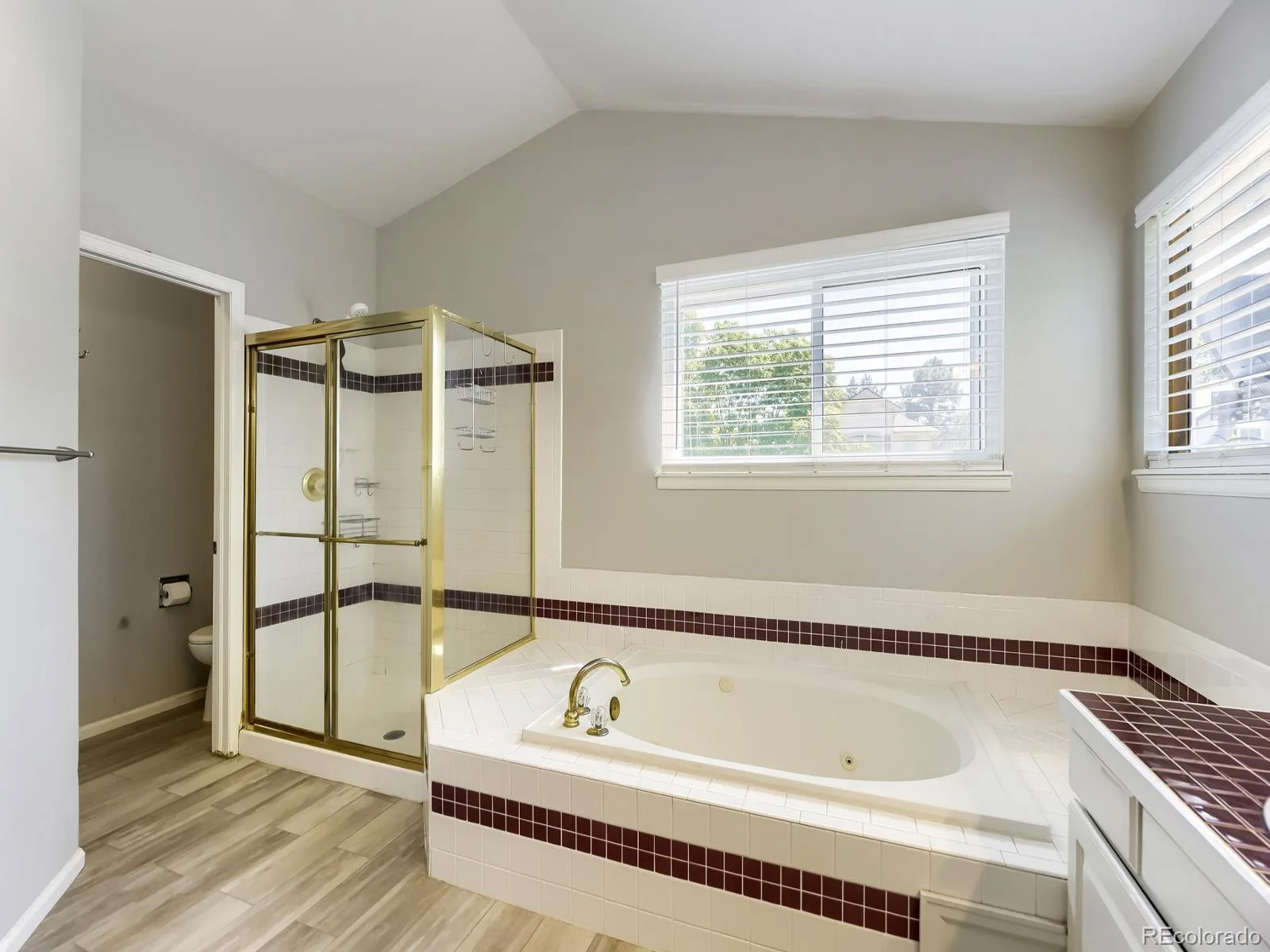 9742 Spring Hill Place Littleton CO 80129 MLS #REC7137511 06132026012322 1600 13