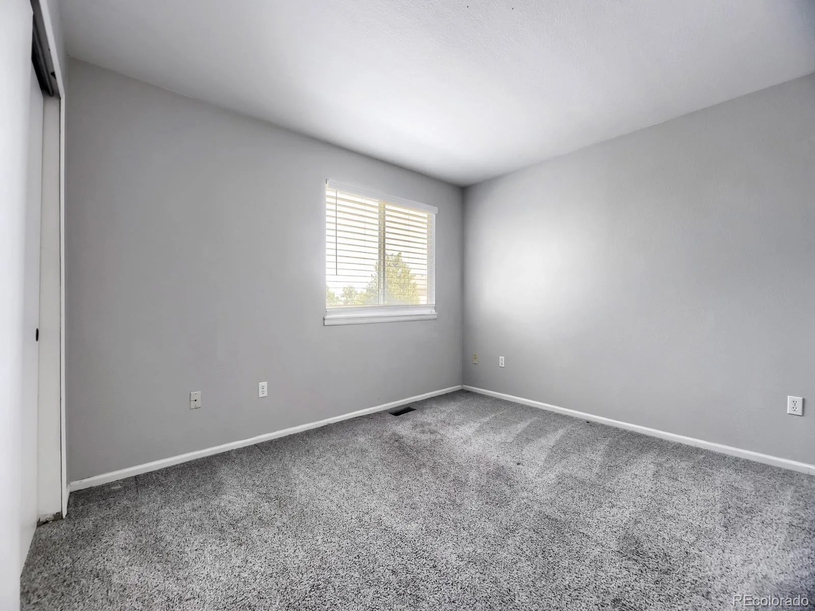 9742 Spring Hill Place Littleton CO 80129 MLS #REC7137511 06132026012322 1600 15