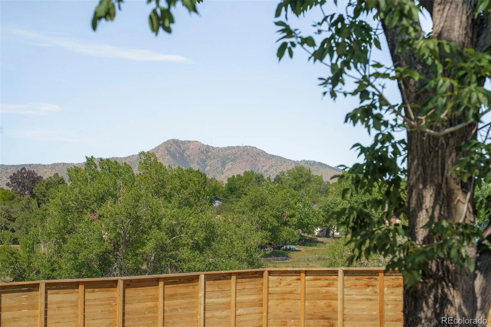 2291 S Zang Court Lakewood CO 80228 MLS #REC7138332 06192026234852 1600 14