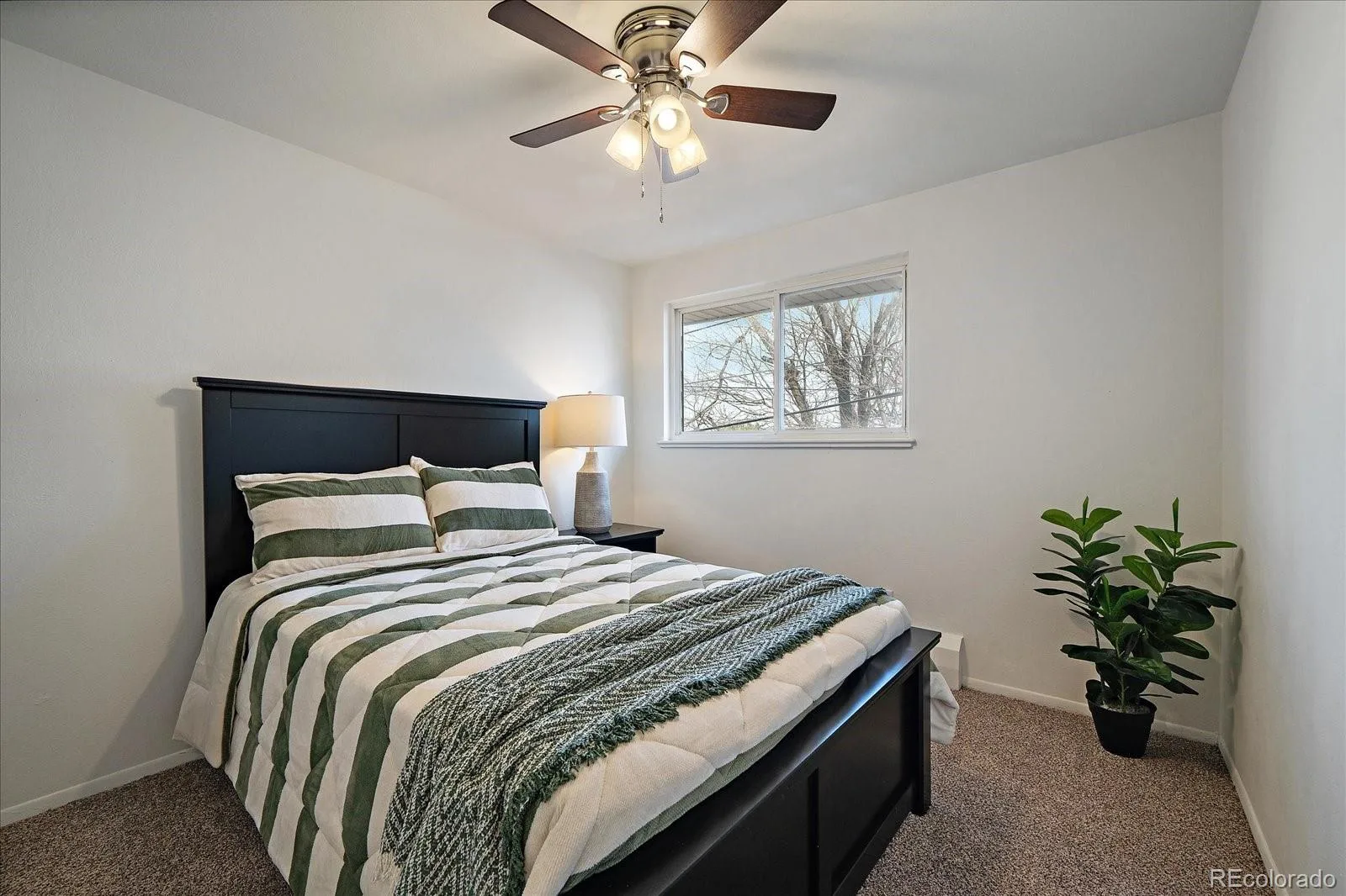 3736 Miller Court Wheat Ridge CO 80033 | MLS #REC7158186 06082026203042 1600 6