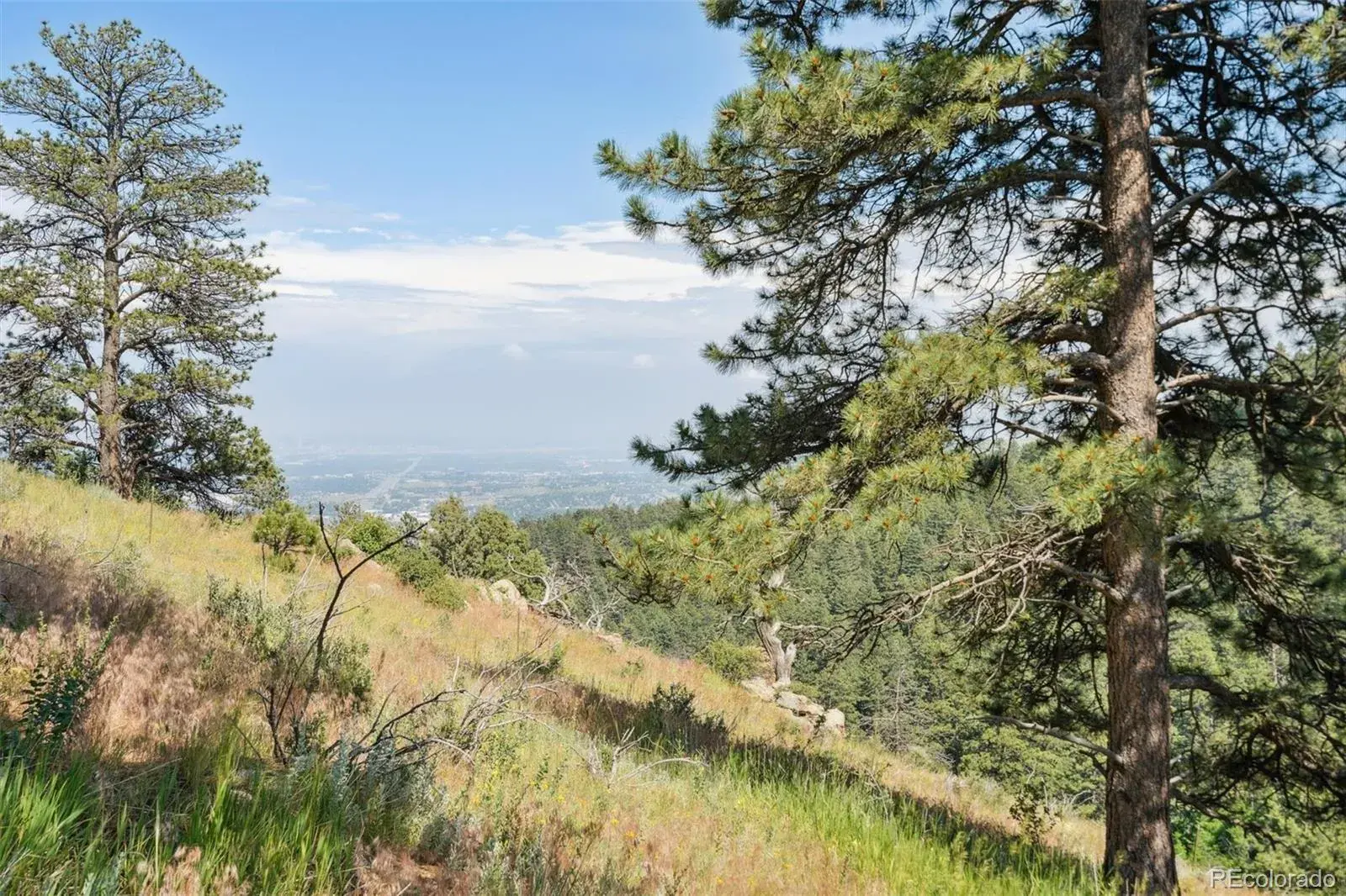 000 Parkview Avenue Golden CO 80401 | MLS #REC7158737 07012025193334 1600 1