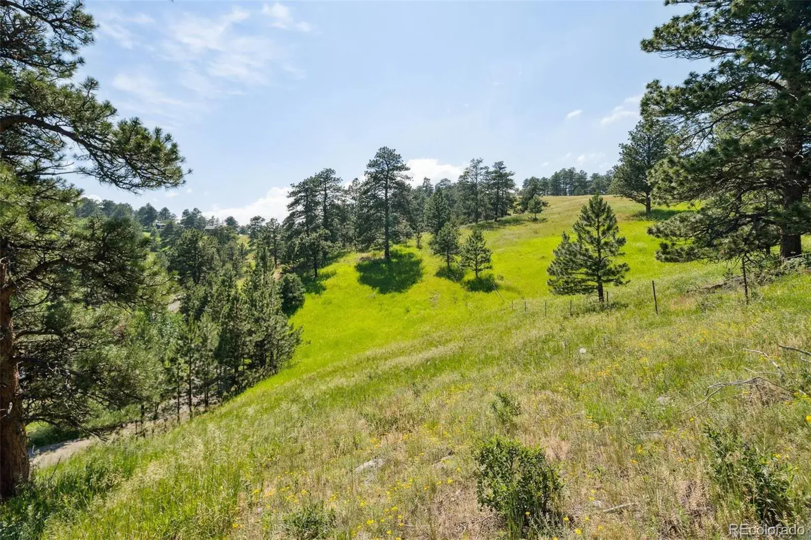 000 Parkview Avenue Golden CO 80401 | MLS #REC7158737 07012025193334 1600 10