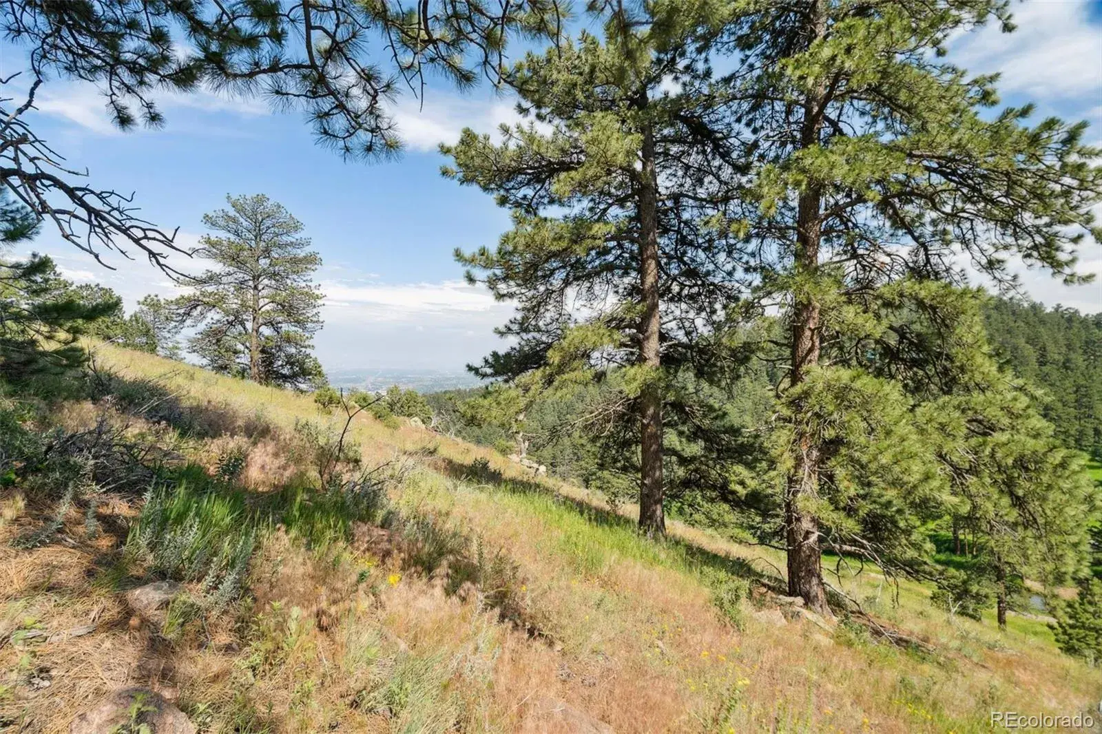 000 Parkview Avenue Golden CO 80401 | MLS #REC7158737 07012025193334 1600 11