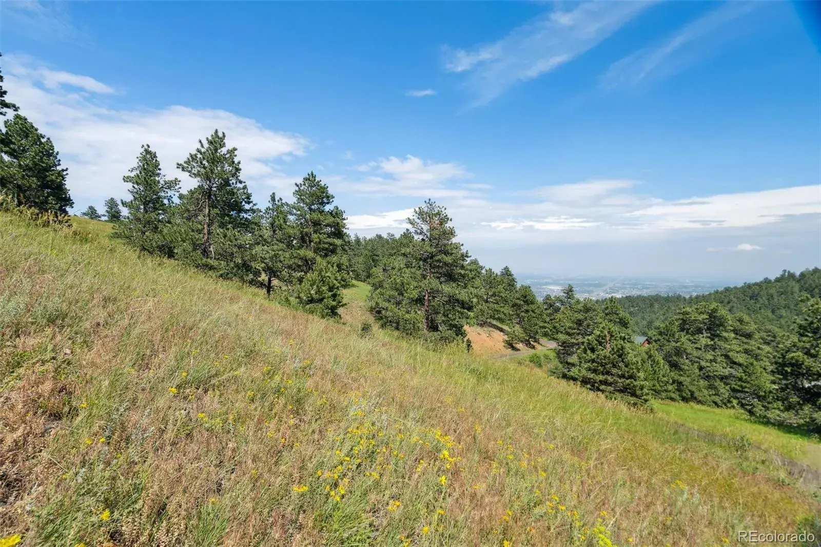 000 Parkview Avenue Golden CO 80401 | MLS #REC7158737 07012025193334 1600 12