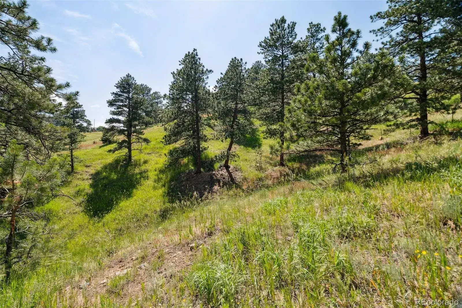 000 Parkview Avenue Golden CO 80401 | MLS #REC7158737 07012025193334 1600 13
