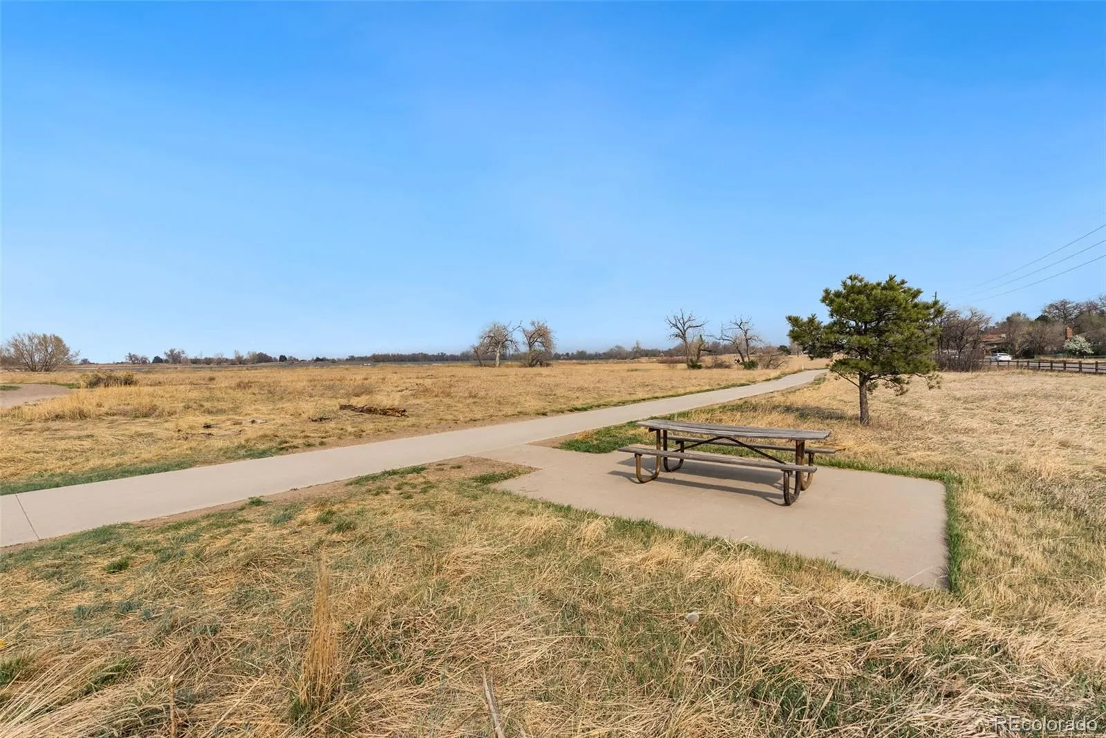 04082026195603 1600 44