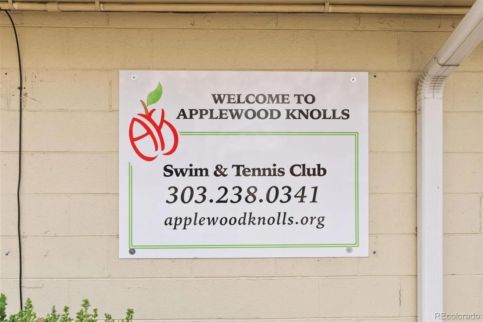 04082026195603 1600 46