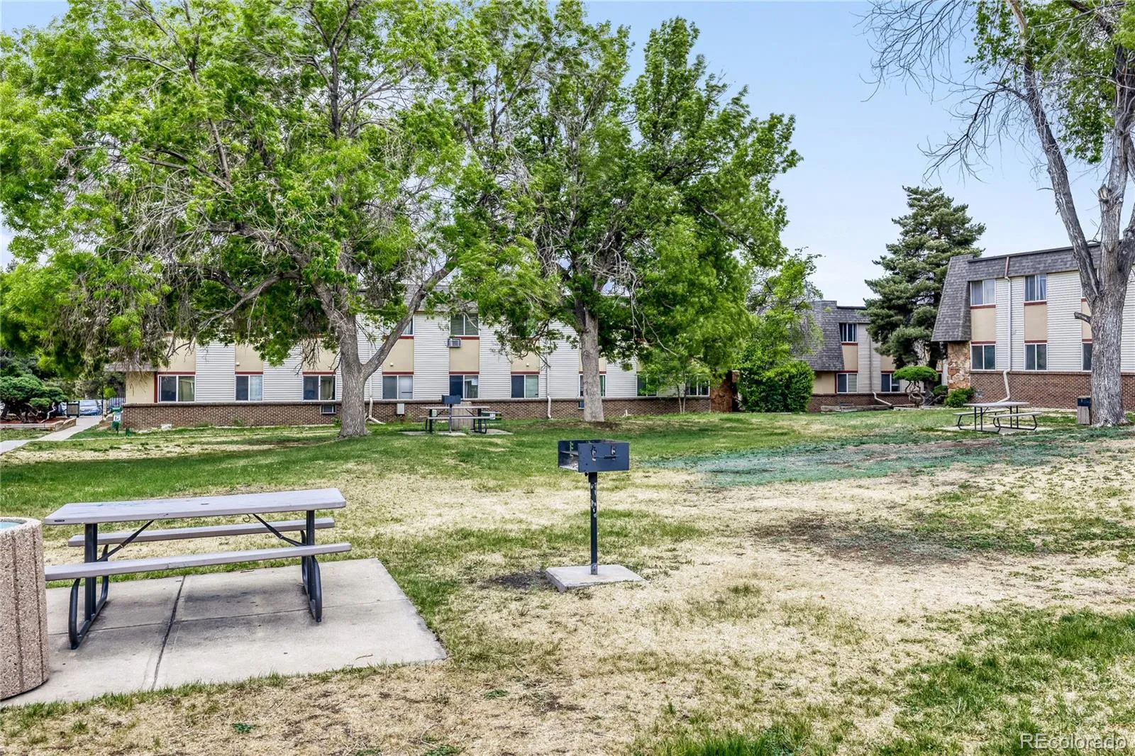 747 W 96th Avenue #2 Thornton CO 80260 MLS #REC7169373 05072026021758 1600 13