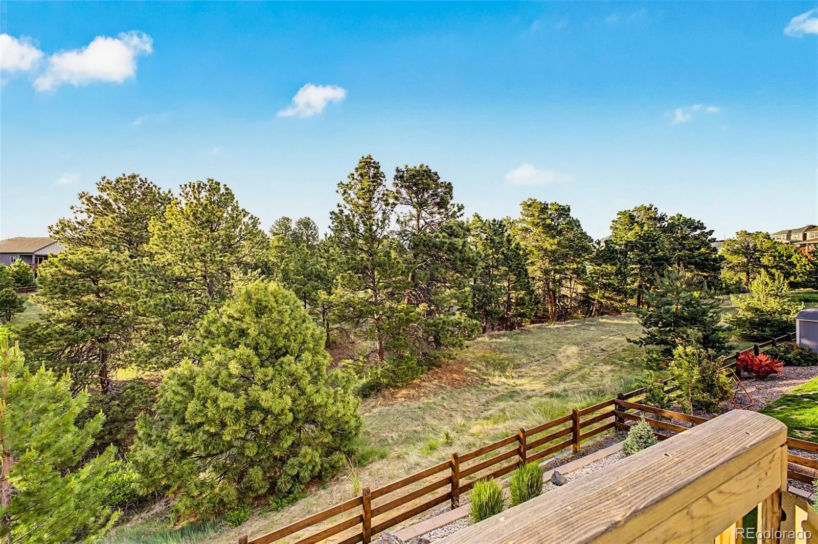 23701 E Calhoun Avenue Aurora CO 80016 MLS #REC7172593 06132026193559 1600 46