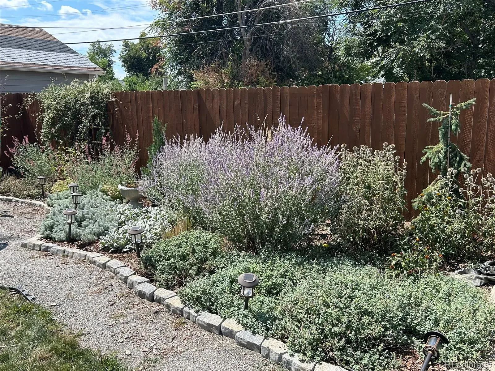 923 Geneva Street Aurora CO 80010 MLS #REC7182408 03242026174939 1600 18