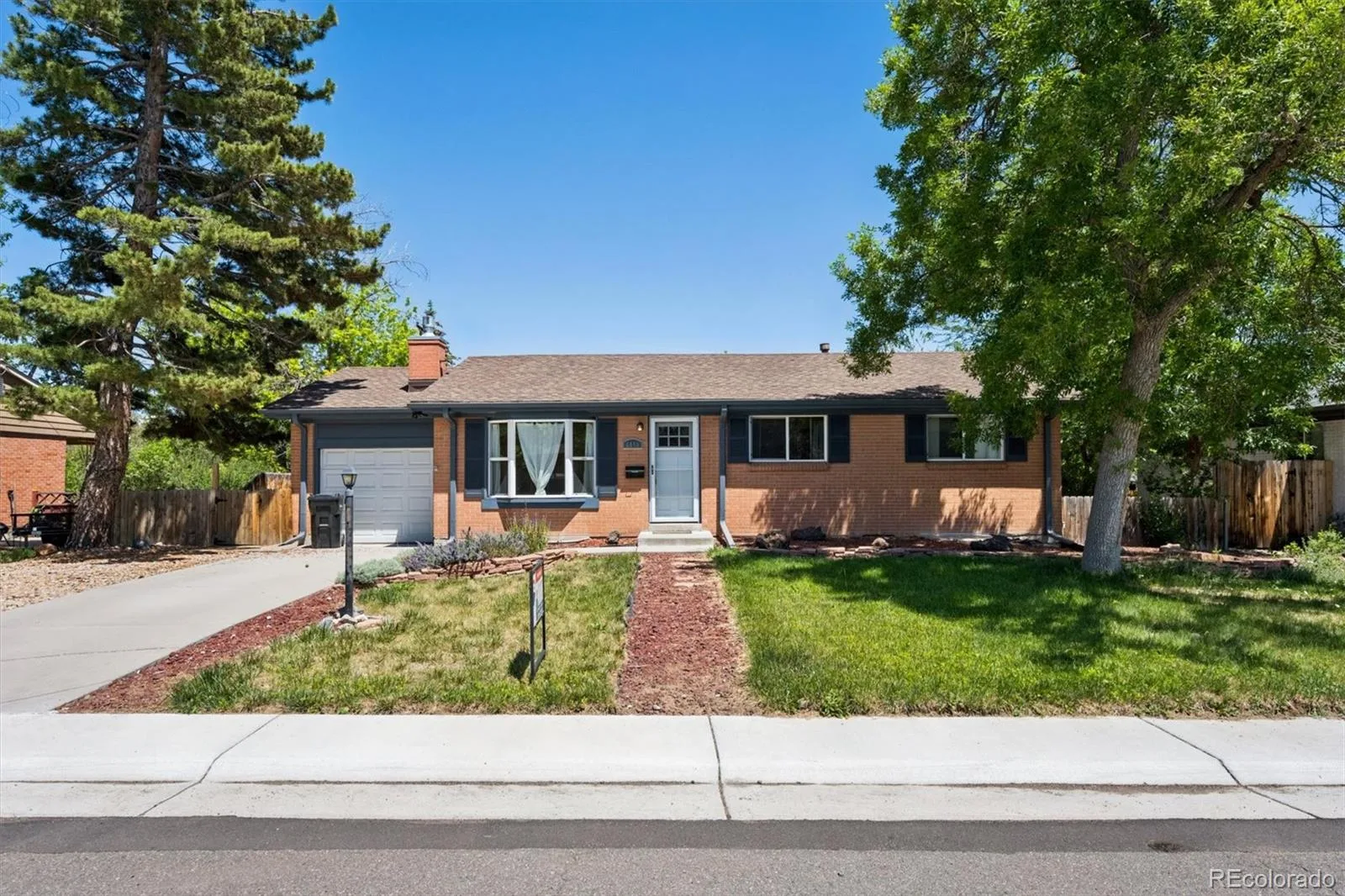 6050 Quail Street Arvada CO 80004 MLS #REC7183952 06122026074244 1600 1
