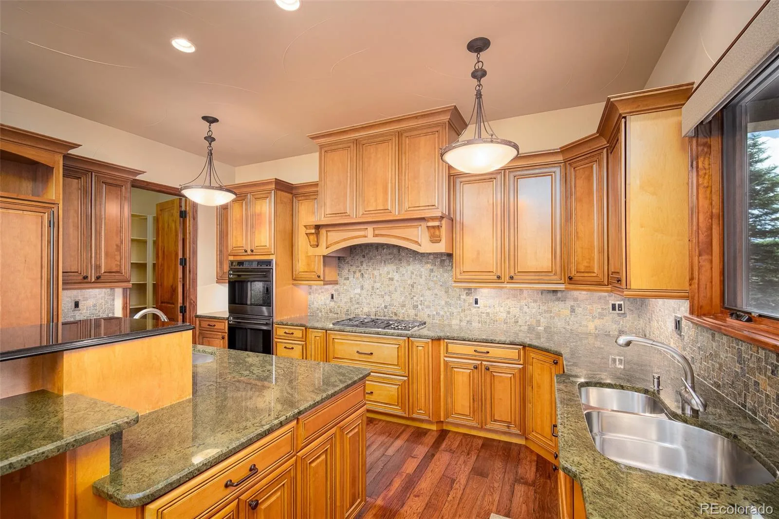 9677 Sara Gulch Circle Parker CO 80138 | MLS #REC7184482 06252026013023 1600 16