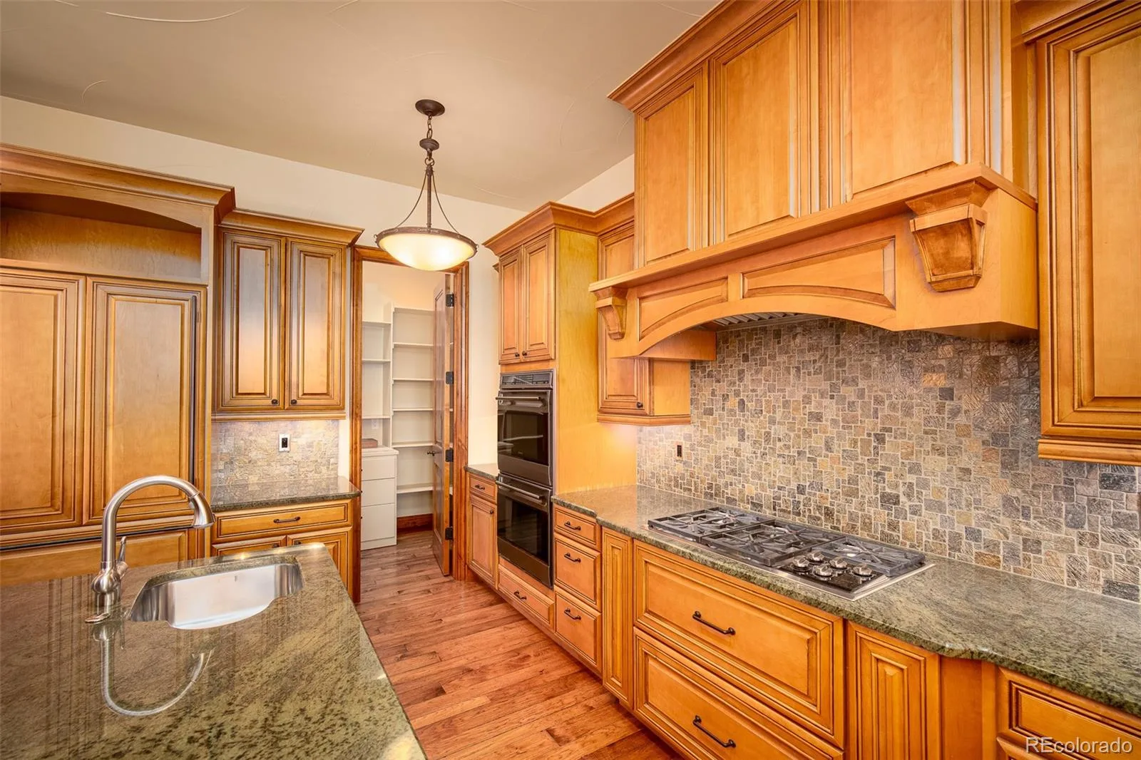 9677 Sara Gulch Circle Parker CO 80138 | MLS #REC7184482 06252026013023 1600 17