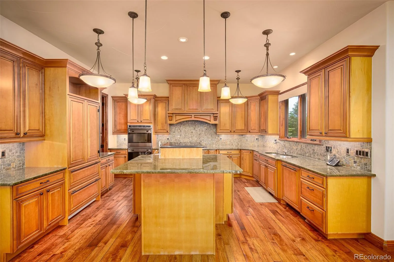 9677 Sara Gulch Circle Parker CO 80138 | MLS #REC7184482 06252026013023 1600 18