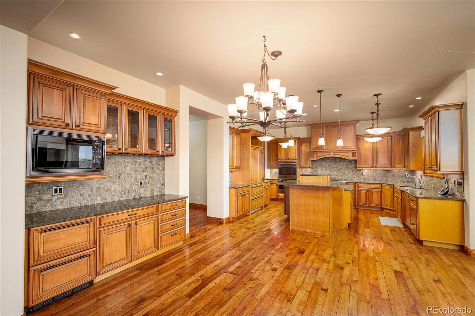 9677 Sara Gulch Circle Parker CO 80138 | MLS #REC7184482 06252026013023 1600 19